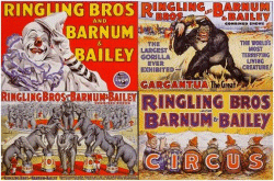 Circus Posters Puzzle Thumbnail.gif (42526 bytes)