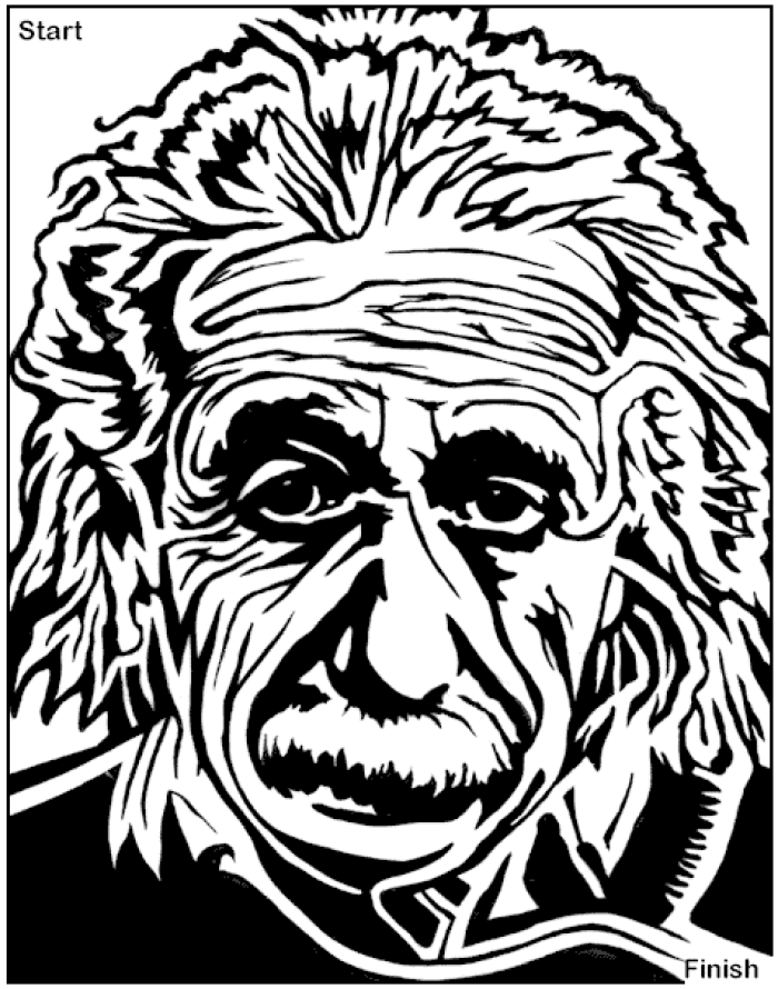 Einstein Maze.gif (210645 bytes)