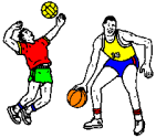 Vollyball and Basketball Graphic.gif (5528 bytes)